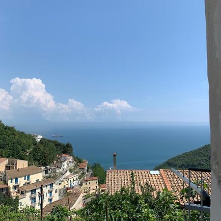 Pippo'S House Villa Vietri Dış mekan fotoğraf