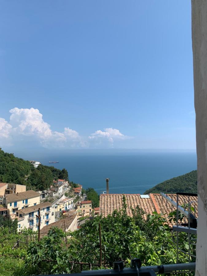 Pippo'S House Villa Vietri Dış mekan fotoğraf